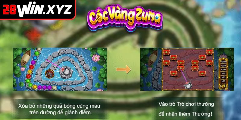 Giới thiệu về Cóc vàng Zuma 28Win
